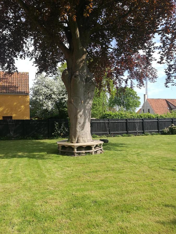 Ærøskøbing Kjobing Manor Bed & Breakfast エクステリア 写真