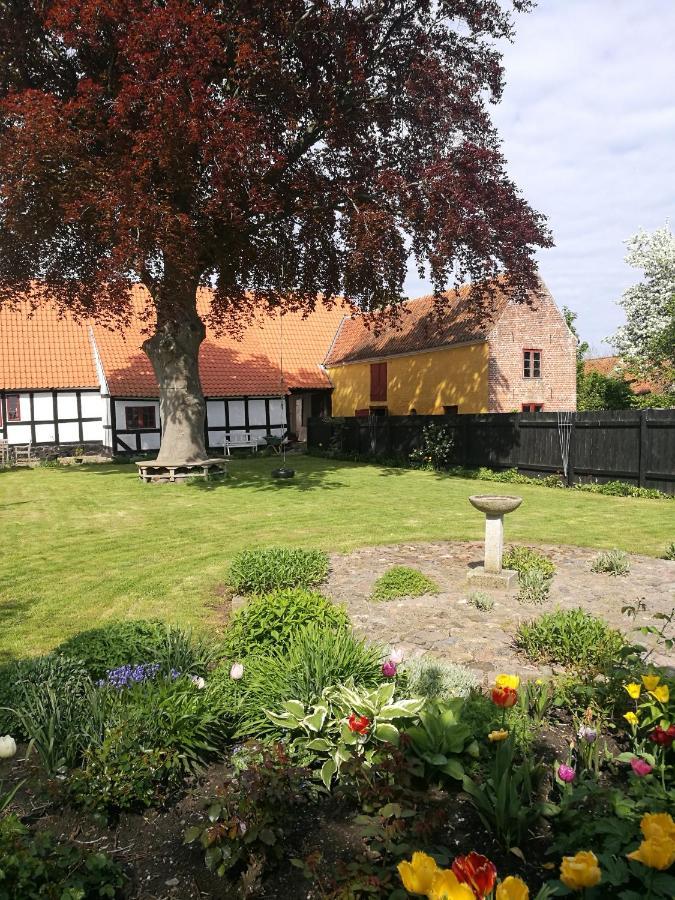 Ærøskøbing Kjobing Manor Bed & Breakfast エクステリア 写真